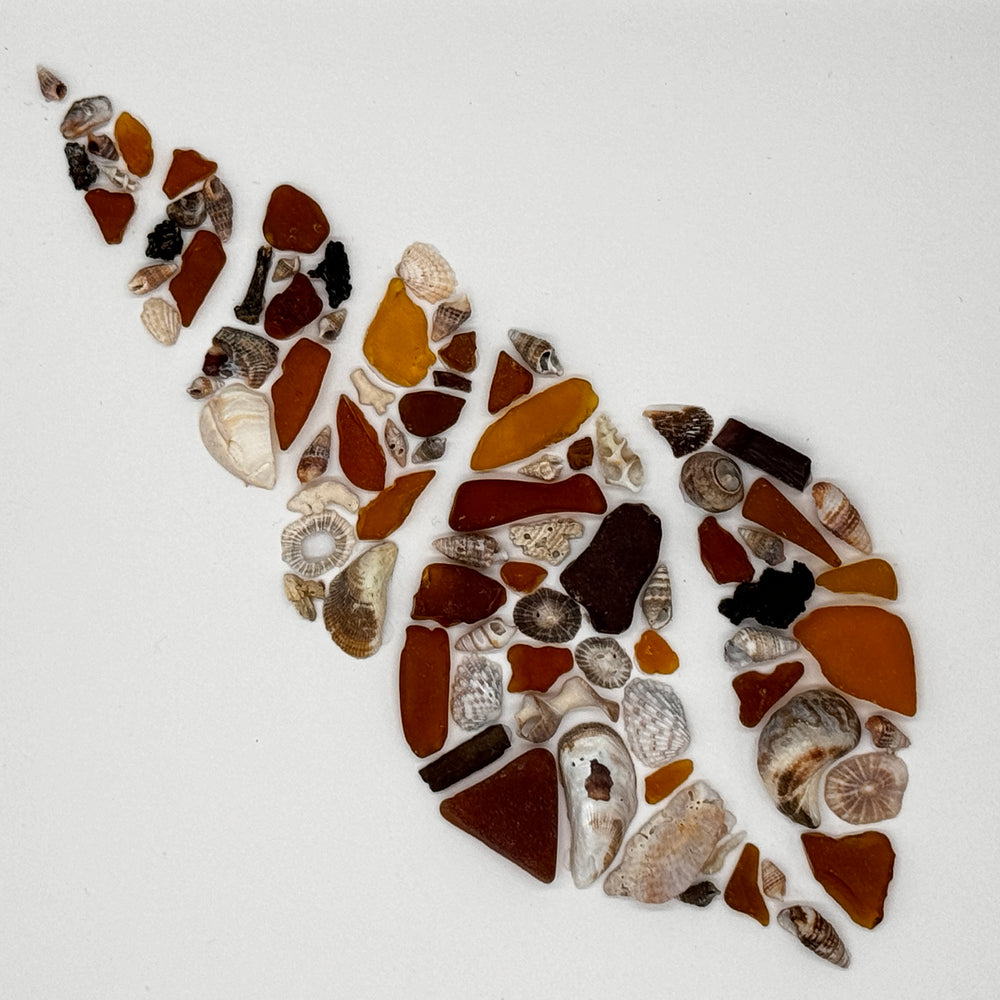 Imagen de concha en espiral de mosaico de vidrio marino marrón, coral, conchas y cerámica