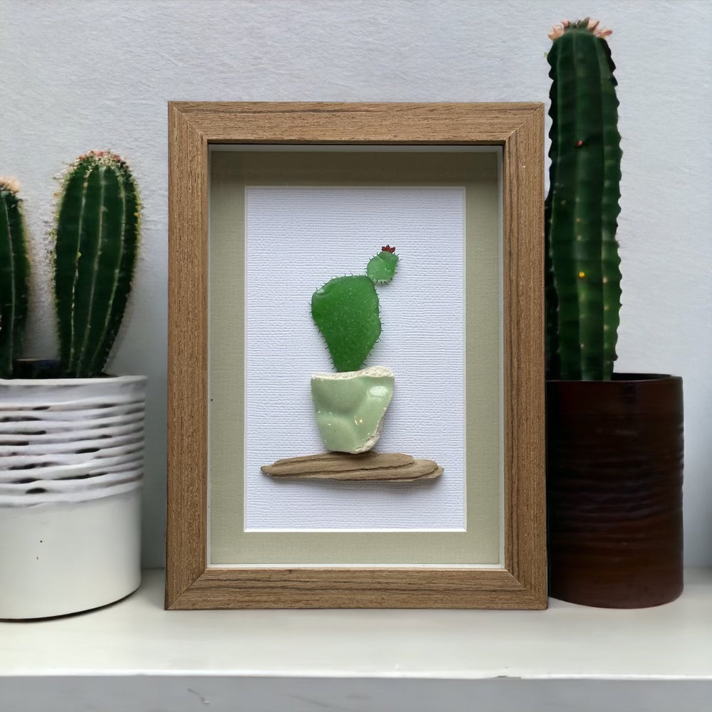 Image en verre de mer de cactus en pot